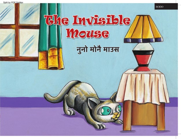 The Invisible Mouse